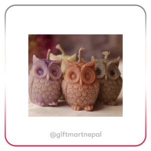 Owl Candle