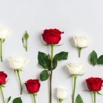Firefly_Now create me a thumbnail for a rose bouquet where the rose is of vibrant red colour 839029